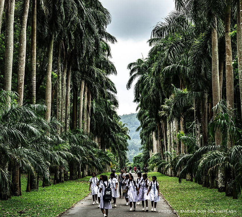 TRAVEL WITHIN SRI LANKA